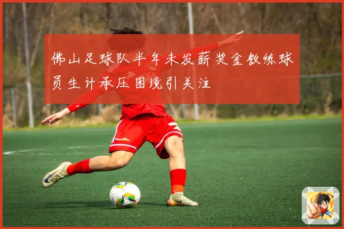 佛山足球队半年未发薪奖金教练球员生计承压困境引关注