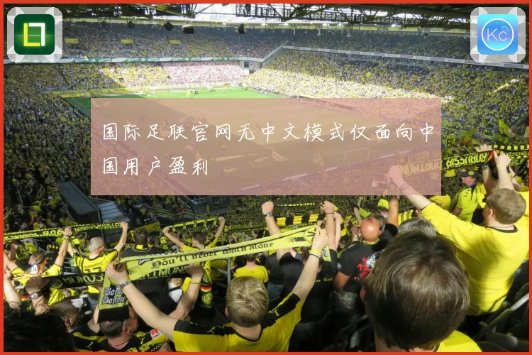 国际足联官网无中文模式仅面向中国用户盈利