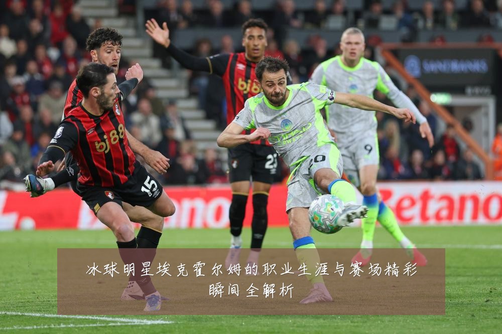 冰球明星埃克霍尔姆的职业生涯与赛场精彩瞬间全解析